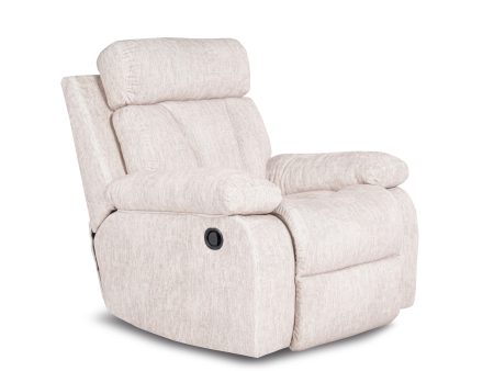 Ashley Homestore | Feesler Rocker Recliner Discount